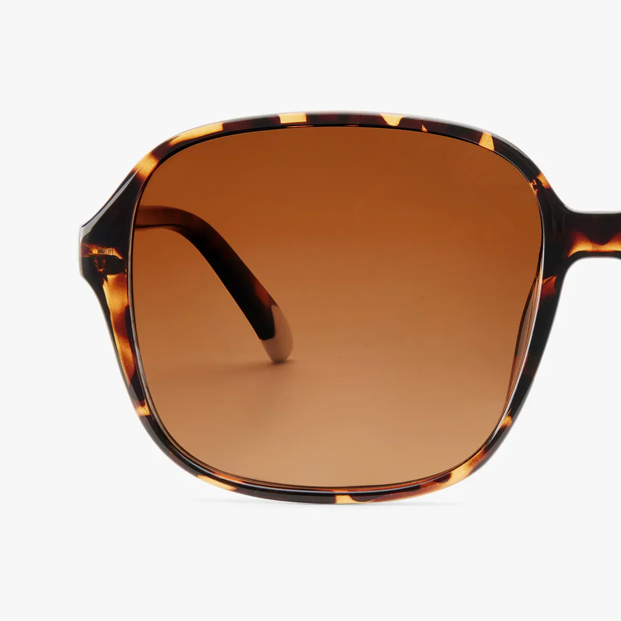 Pascal Glossy Sun - Image 22